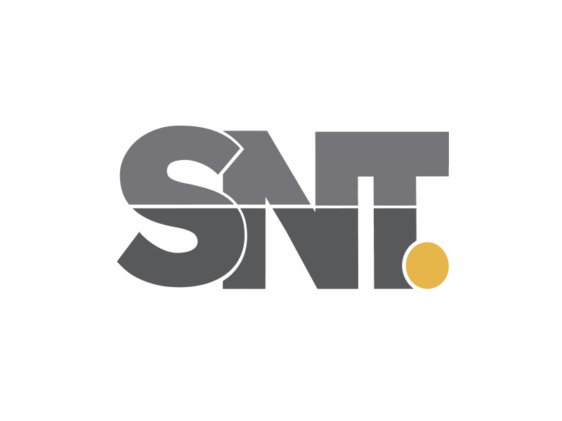 Snt d3. SNT logo. SNT. SNT бренд. SNT Iron.